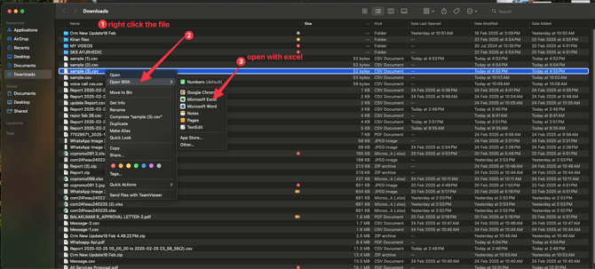 cleanshot open with excel